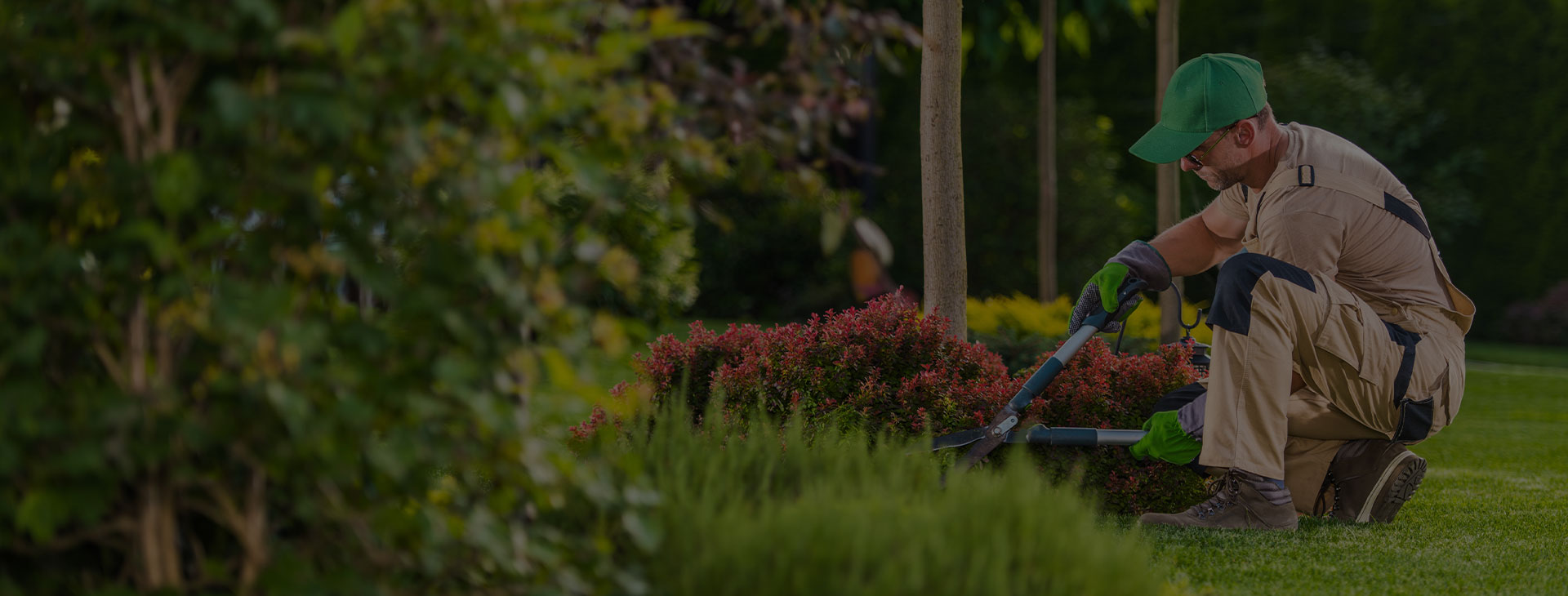 Entretien jardin et aménagement paysager en Moselle