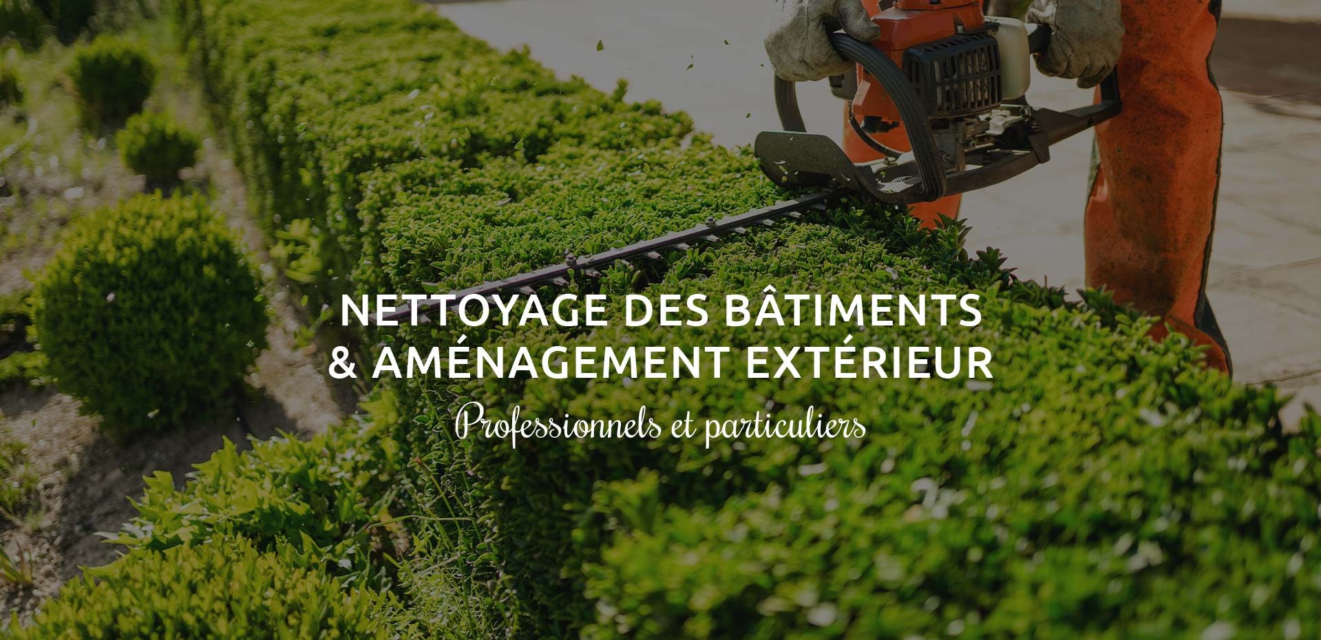 Nettoyage façades et toitures à Thionville